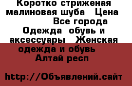 Коротко стриженая малиновая шуба › Цена ­ 10 000 - Все города Одежда, обувь и аксессуары » Женская одежда и обувь   . Алтай респ.